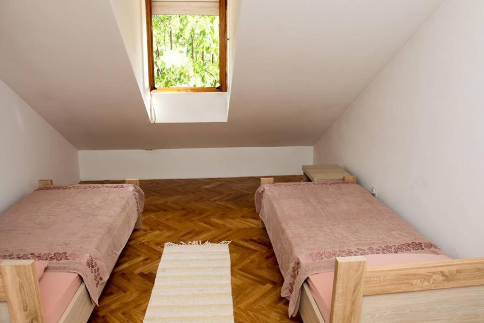 סטינג'ה Green House מראה חיצוני תמונה